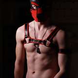 gaynorwegianpup from onlyfans